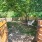 enclosed dog park outside with white picnic chairs 